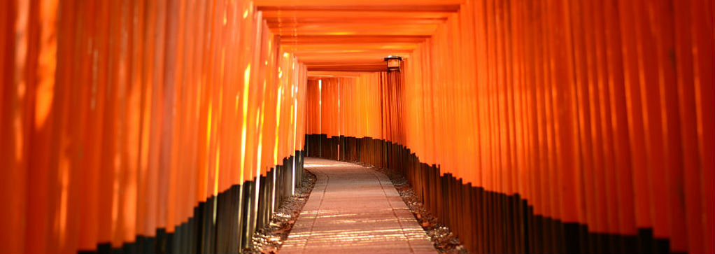 青果用ダンボール""